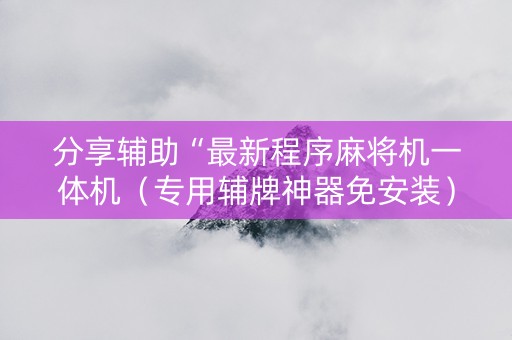 分享辅助“最新程序麻将机一体机（专用辅牌神器免安装）