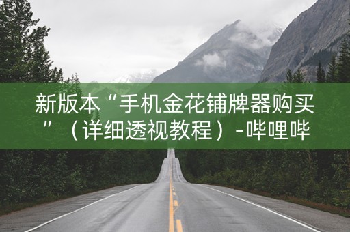 新版本“手机金花铺牌器购买”（详细透视教程）-哔哩哔哩
