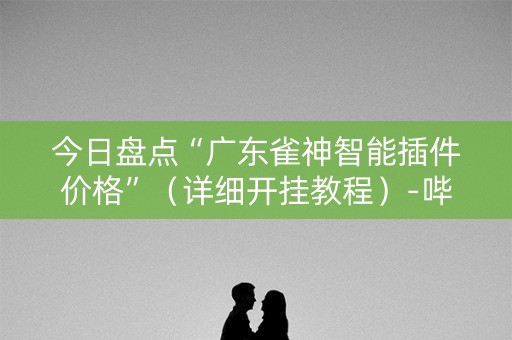 今日盘点“广东雀神智能插件价格”（详细开挂教程）-哔哩哔哩