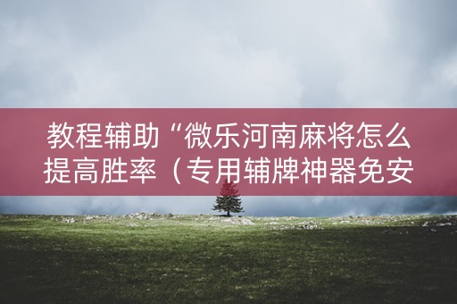 教程辅助“微乐河南麻将怎么提高胜率（专用辅牌神器免安装）