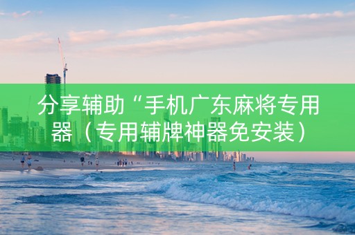 分享辅助“手机广东麻将专用器（专用辅牌神器免安装）
