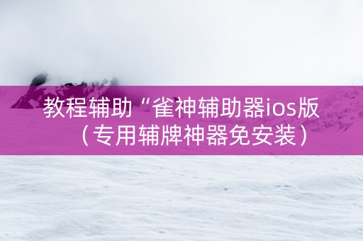教程辅助“雀神辅助器ios版（专用辅牌神器免安装）