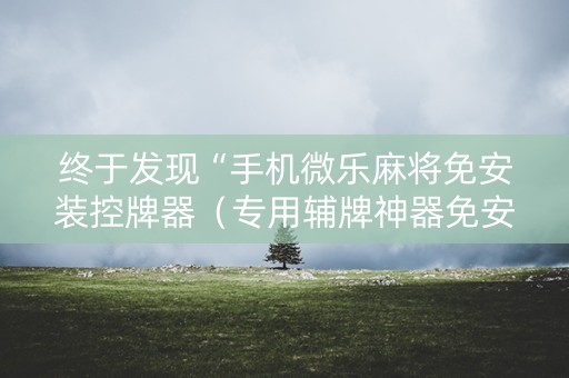 终于发现“手机微乐麻将免安装控牌器（专用辅牌神器免安装）