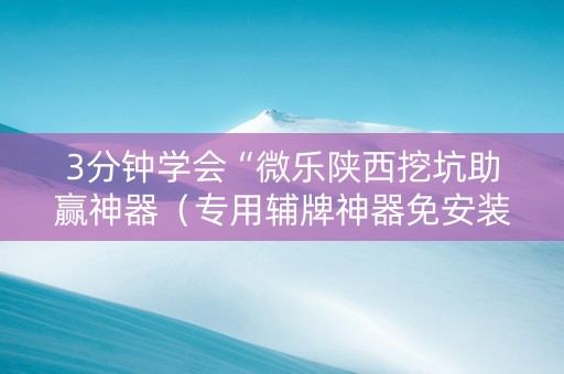 3分钟学会“微乐陕西挖坑助赢神器（专用辅牌神器免安装）