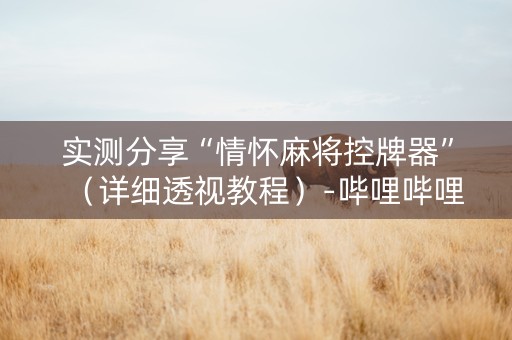 实测分享“情怀麻将控牌器”（详细透视教程）-哔哩哔哩