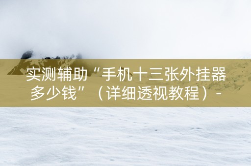 实测辅助“手机十三张外挂器多少钱”（详细透视教程）-哔哩哔哩