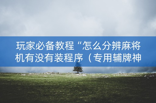 玩家必备教程“怎么分辨麻将机有没有装程序（专用辅牌神器免安装）