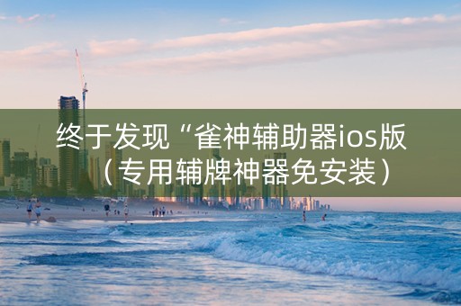 终于发现“雀神辅助器ios版（专用辅牌神器免安装）