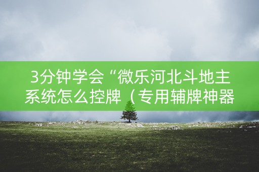 3分钟学会“微乐河北斗地主系统怎么控牌（专用辅牌神器免安装）