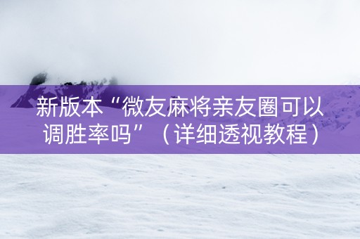 新版本“微友麻将亲友圈可以调胜率吗”（详细透视教程）-哔哩哔哩