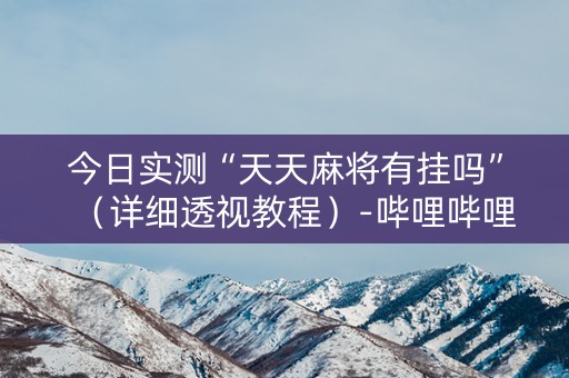 今日实测“天天麻将有挂吗”（详细透视教程）-哔哩哔哩