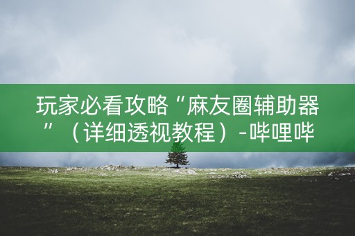 玩家必看攻略“麻友圈辅助器”（详细透视教程）-哔哩哔哩