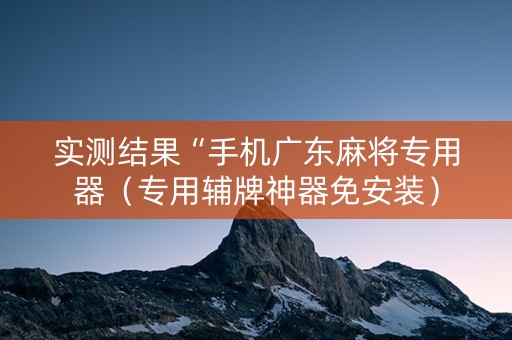 实测结果“手机广东麻将专用器（专用辅牌神器免安装）