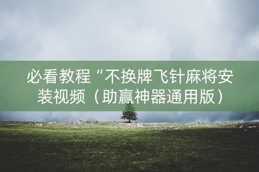 必看教程“不换牌飞针麻将安装视频（助赢神器通用版）