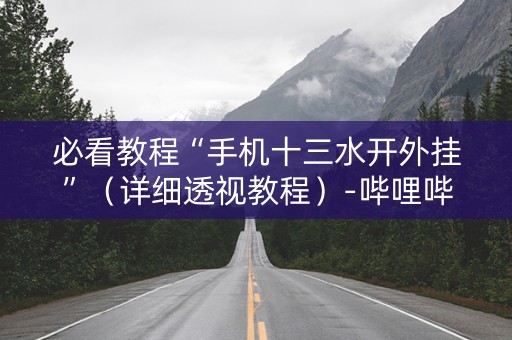 必看教程“手机十三水开外挂”（详细透视教程）-哔哩哔哩