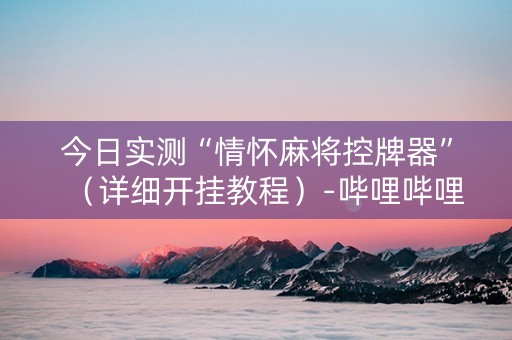 今日实测“情怀麻将控牌器”（详细开挂教程）-哔哩哔哩