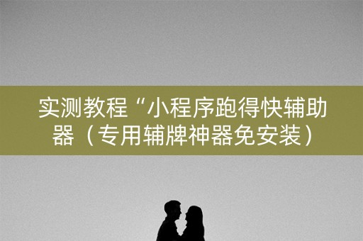 实测教程“小程序跑得快辅助器（专用辅牌神器免安装）