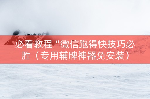 必看教程“微信跑得快技巧必胜（专用辅牌神器免安装）
