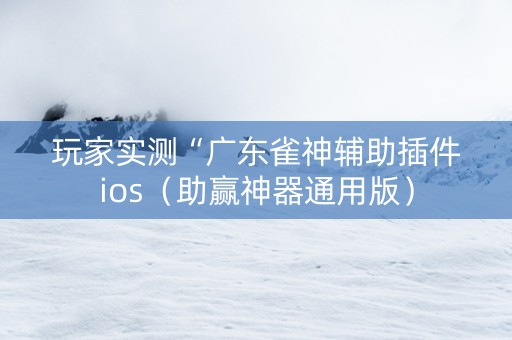 玩家实测“广东雀神辅助插件ios（助赢神器通用版）