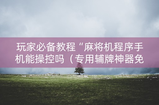 玩家必备教程“麻将机程序手机能操控吗（专用辅牌神器免安装）