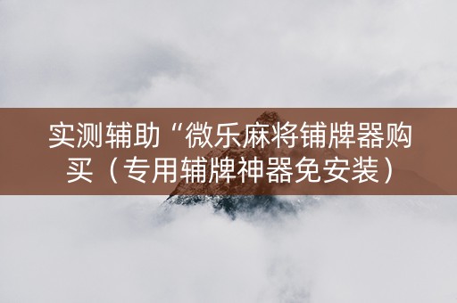 实测辅助“微乐麻将铺牌器购买（专用辅牌神器免安装）