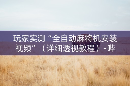 玩家实测“全自动麻将机安装视频”（详细透视教程）-哔哩哔哩