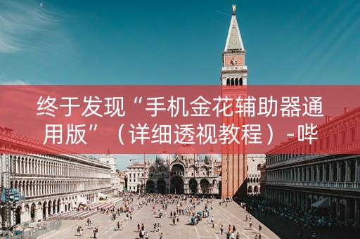 终于发现“手机金花辅助器通用版”（详细透视教程）-哔哩哔哩