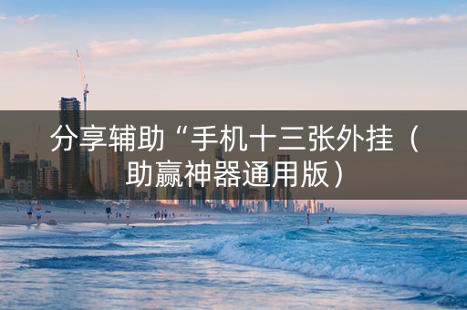 分享辅助“手机十三张外挂（助赢神器通用版）