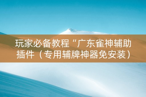 玩家必备教程“广东雀神辅助插件（专用辅牌神器免安装）