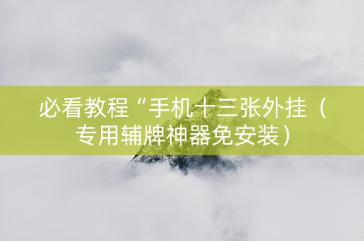 必看教程“手机十三张外挂（专用辅牌神器免安装）