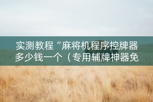实测教程“麻将机程序控牌器多少钱一个（专用辅牌神器免安装）