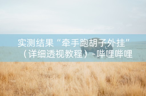 实测结果“牵手跑胡子外挂”（详细透视教程）-哔哩哔哩