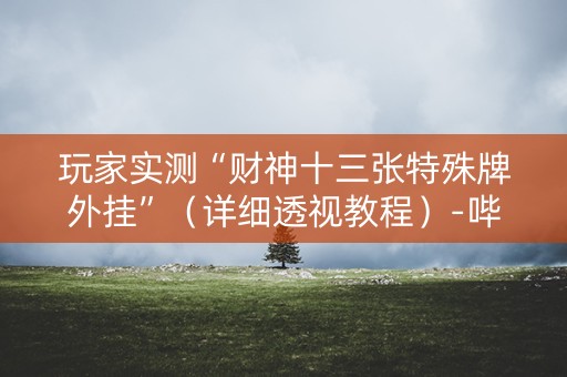 玩家实测“财神十三张特殊牌外挂”（详细透视教程）-哔哩哔哩