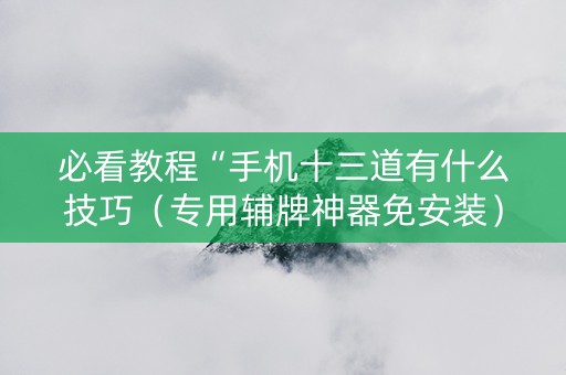 必看教程“手机十三道有什么技巧（专用辅牌神器免安装）
