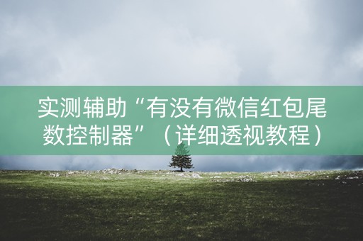 实测辅助“有没有微信红包尾数控制器”（详细透视教程）-哔哩哔哩