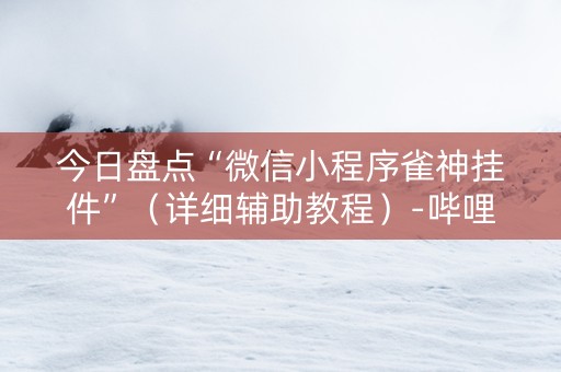 今日盘点“微信小程序雀神挂件”（详细辅助教程）-哔哩哔哩