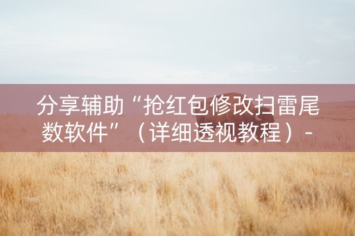 分享辅助“抢红包修改扫雷尾数软件”（详细透视教程）-哔哩哔哩