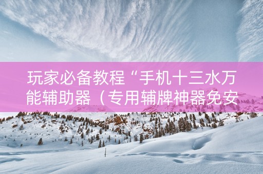玩家必备教程“手机十三水万能辅助器（专用辅牌神器免安装）