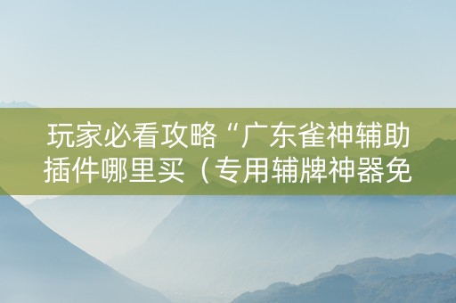 玩家必看攻略“广东雀神辅助插件哪里买（专用辅牌神器免安装）