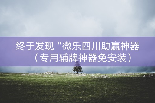 终于发现“微乐四川助赢神器（专用辅牌神器免安装）