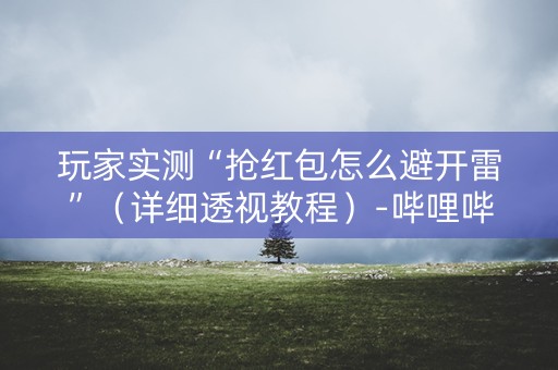 玩家实测“抢红包怎么避开雷”（详细透视教程）-哔哩哔哩