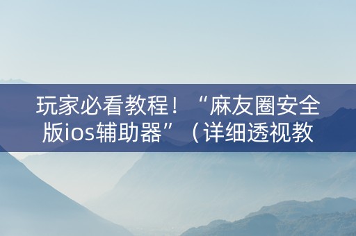 玩家必看教程！“麻友圈安全版ios辅助器”（详细透视教程）-哔哩哔哩
