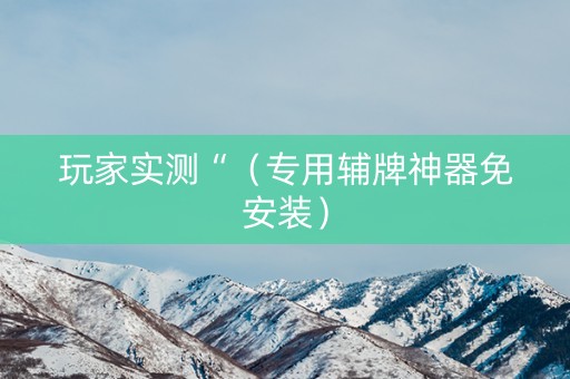 玩家实测“（专用辅牌神器免安装）