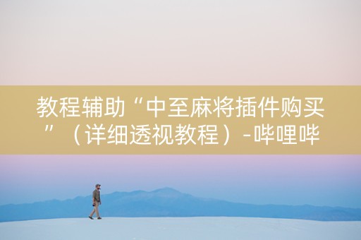 教程辅助“中至麻将插件购买”（详细透视教程）-哔哩哔哩