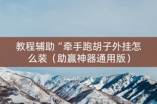 教程辅助“牵手跑胡子外挂怎么装（助赢神器通用版）