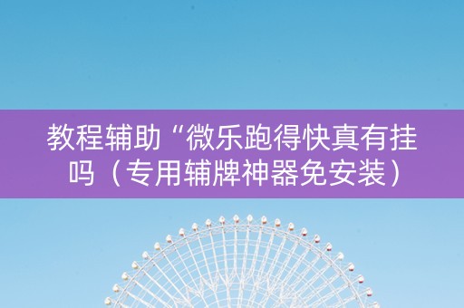 教程辅助“微乐跑得快真有挂吗（专用辅牌神器免安装）