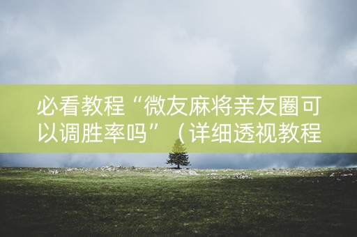 必看教程“微友麻将亲友圈可以调胜率吗”（详细透视教程）-哔哩哔哩