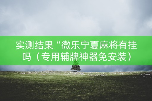 实测结果“微乐宁夏麻将有挂吗（专用辅牌神器免安装）