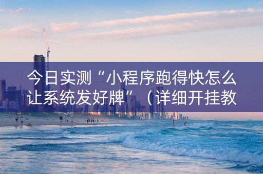 今日实测“小程序跑得快怎么让系统发好牌”（详细开挂教程）-哔哩哔哩