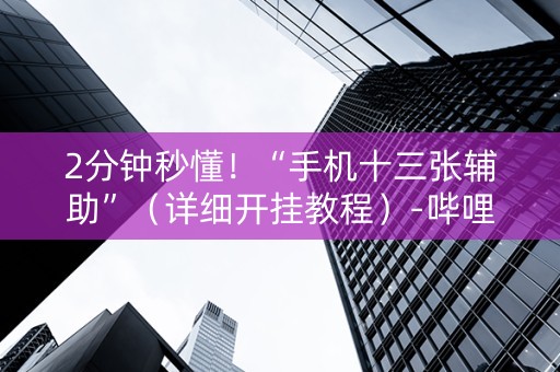 2分钟秒懂！“手机十三张辅助”（详细开挂教程）-哔哩哔哩
